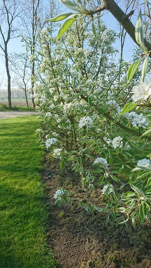 Bed En Breakfast Bernisse Zuidland Exterior foto